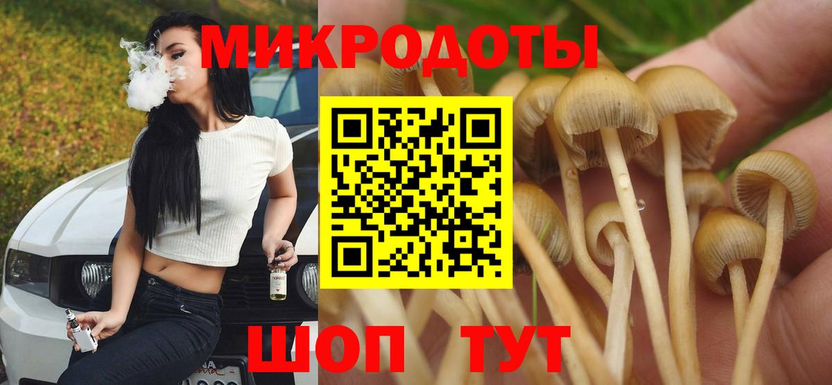 Галлюциногенные грибы Magic Shrooms  Вход с VPN  Галлюциногенные грибы Cubensis  Буйнакск 